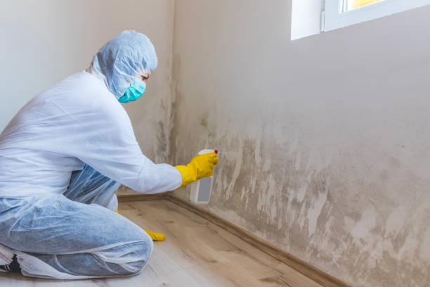 Mold inspector in Millington performing thermal imaging
